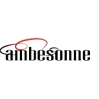 Ambesonne